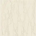 Beige color floor tile