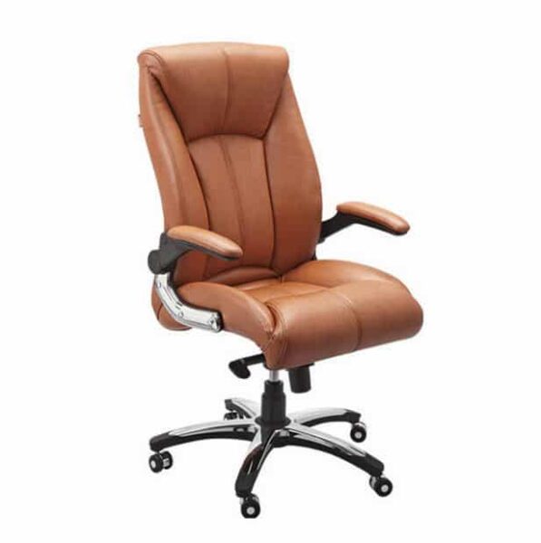 Geeken President GP- 133 Office Chair