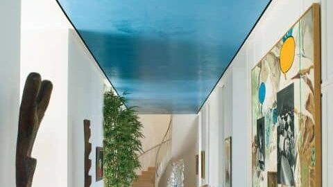 suspended ceiling colour