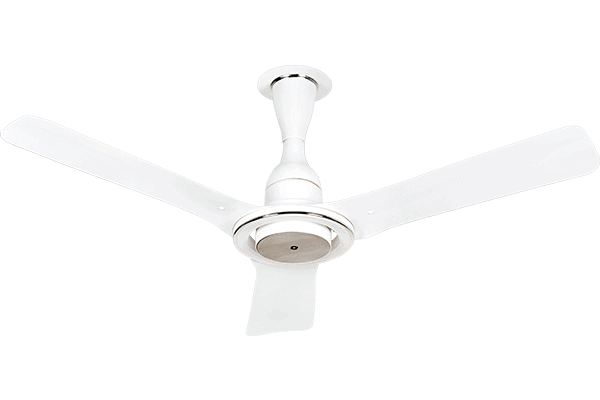 Orient i Series fans