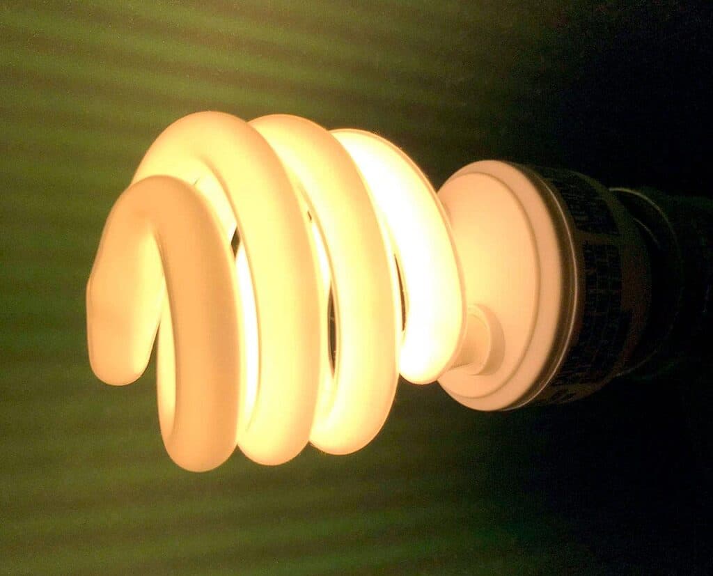 fluorescent bulbs