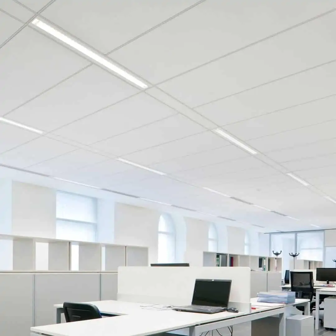 USG Boral Taiga Hygiene Ceiling Panels