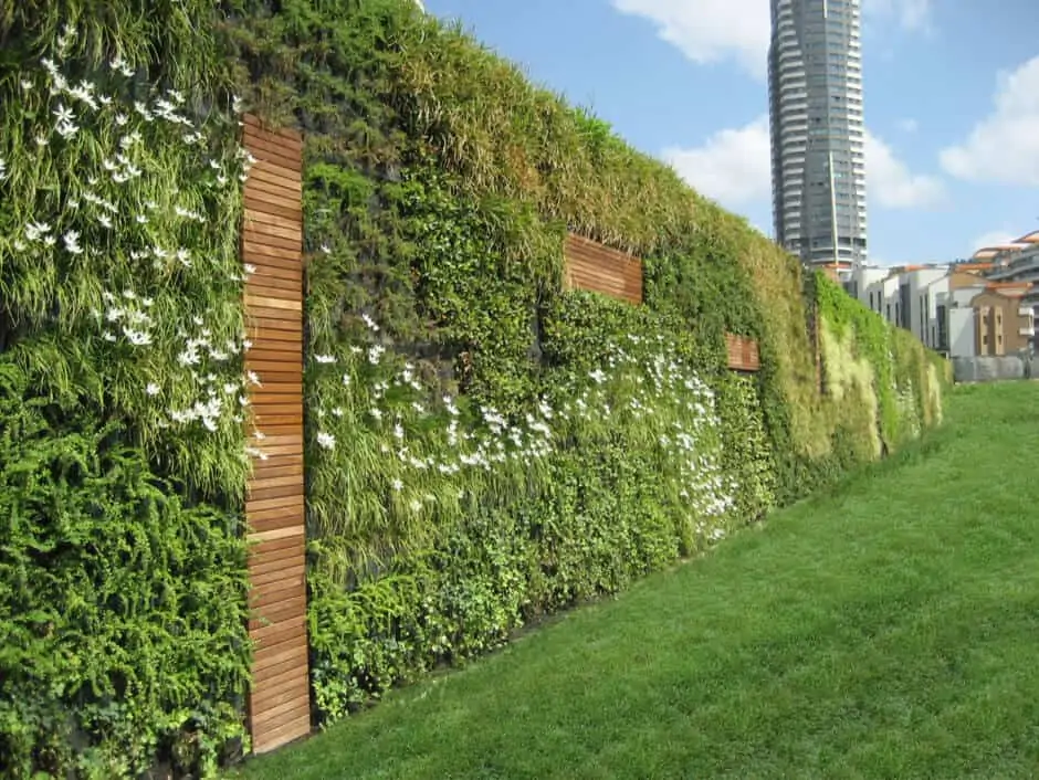 vertical garden for added greenery