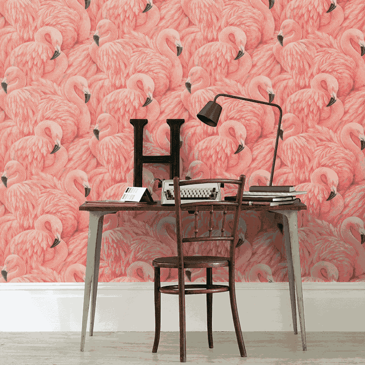 Flamingos on wall in front of a study table