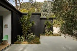 black exterior