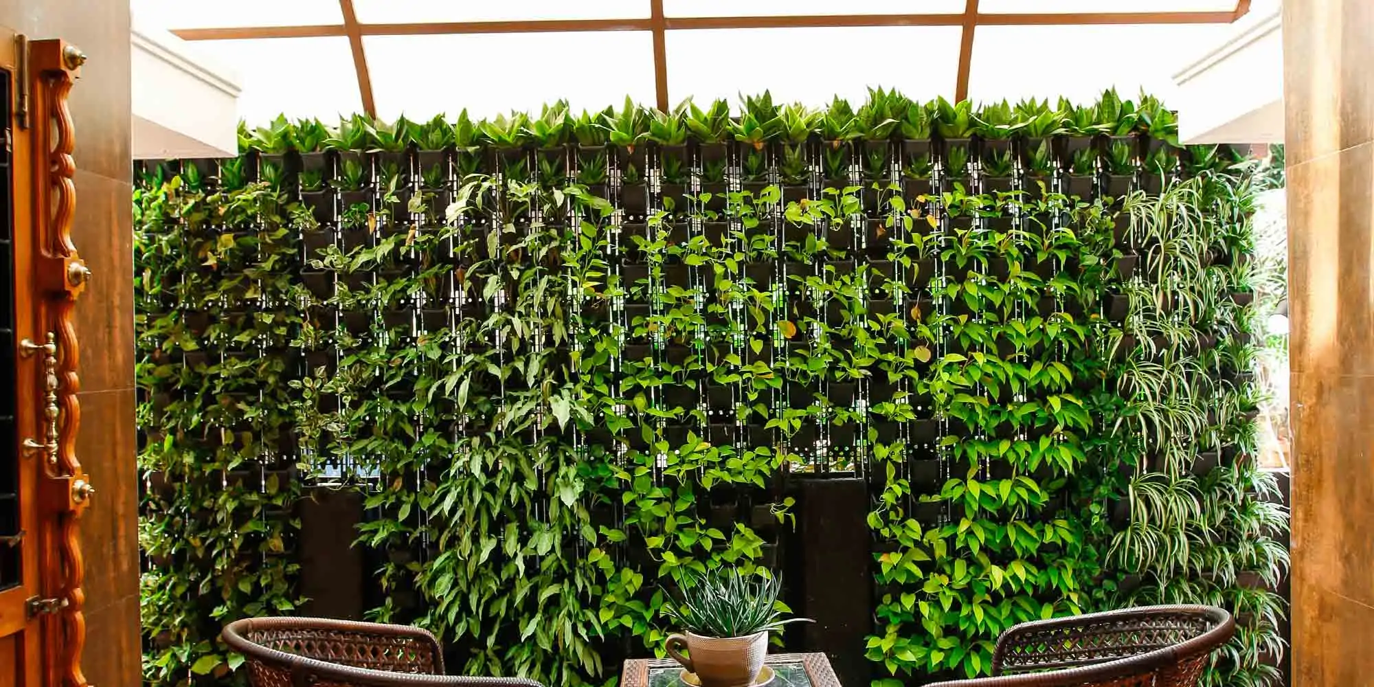 indoor vertical garden