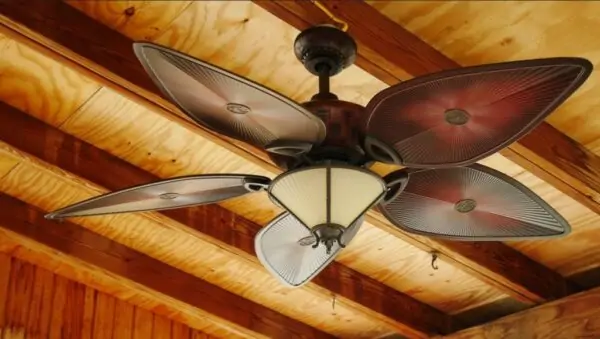 designer ceiling fans