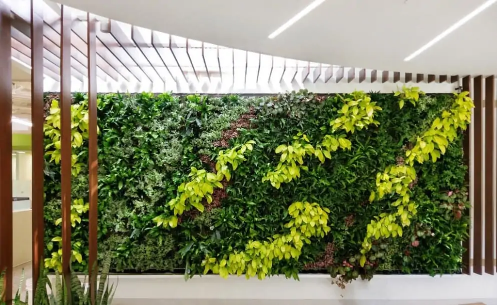 vertical garden for indoors