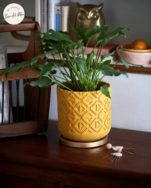 Carved Planter by CHUMBAK