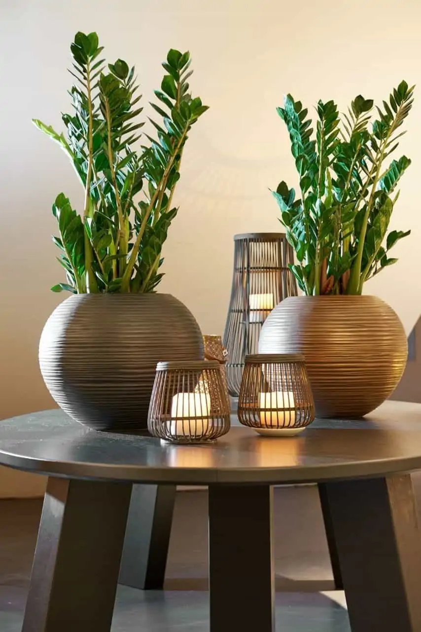 brass metal planters