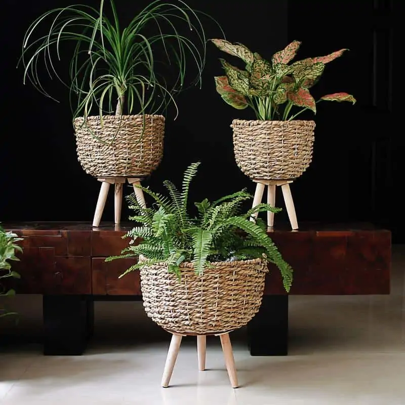 Woven Pot on Stand by Mora Taara suitable for bonsai