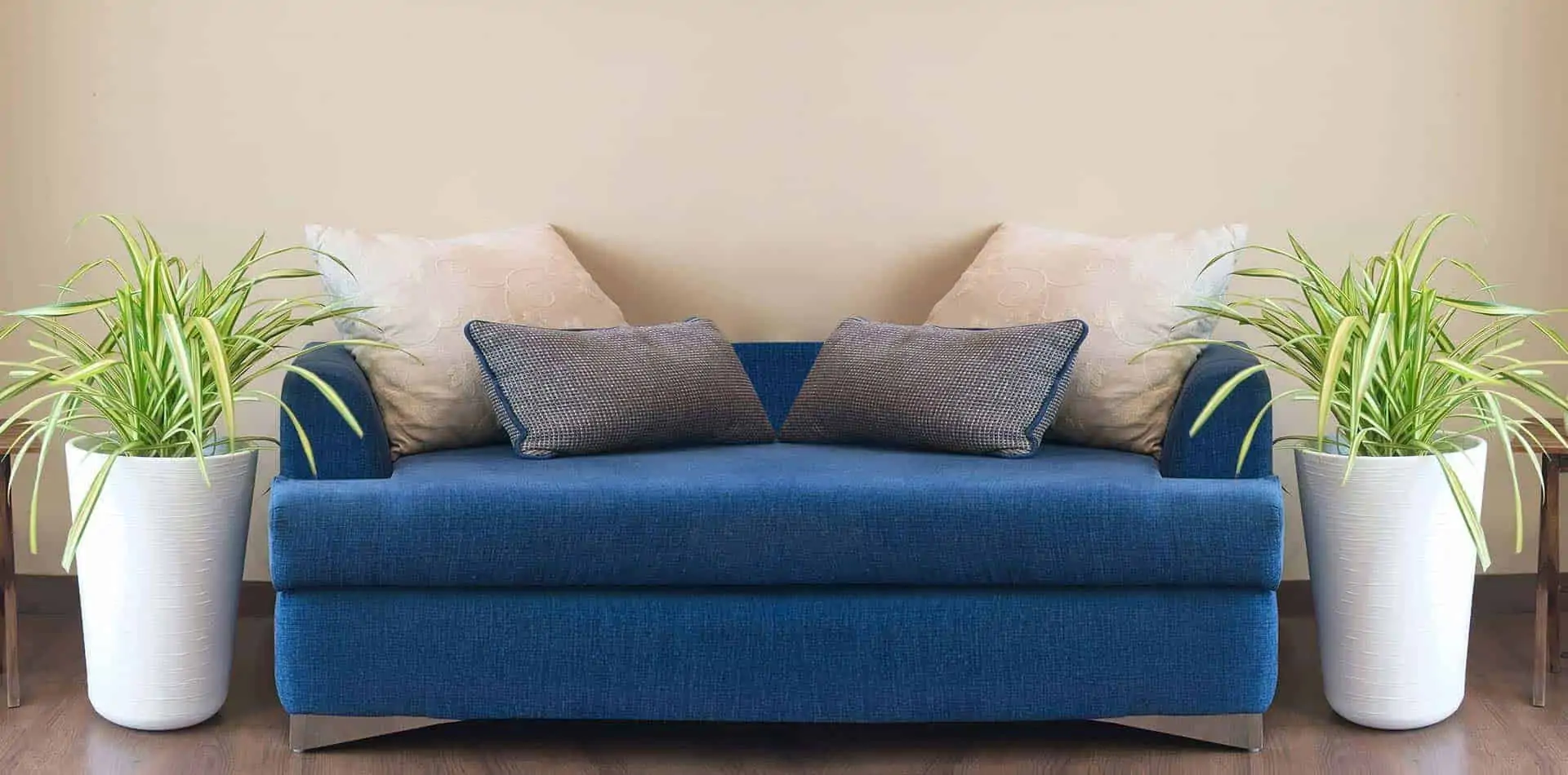 plastic pots&planters in living room on either side of a blue sofa, suitable for bonsai