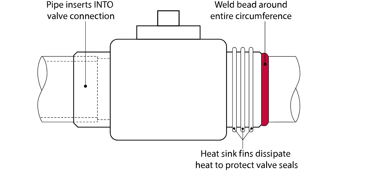 Socket welded pipe inserts