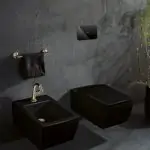 a stylish black toilet seat by premium brand at great price range