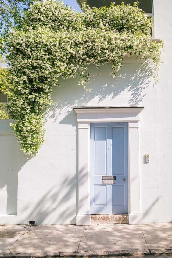 Beautiful front hinged gate