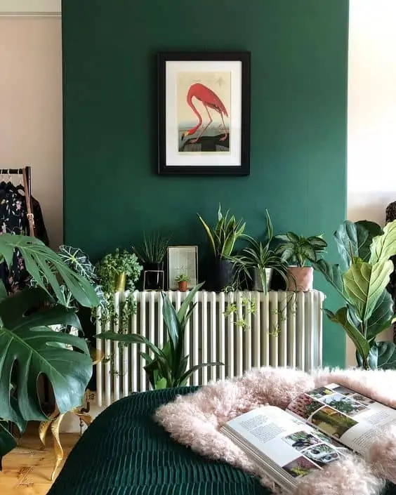 A dark green accent wall filled with plants