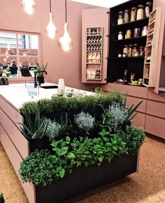 vertical indoor plants for a pink simple and easy kitchen design for a modern indian style house