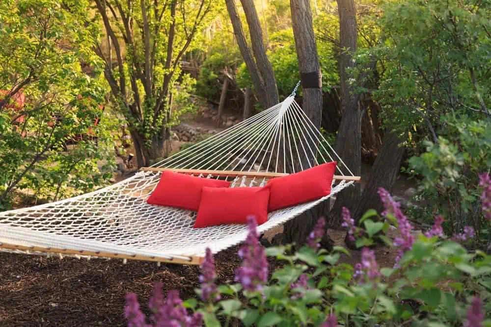 hammock in backyard
