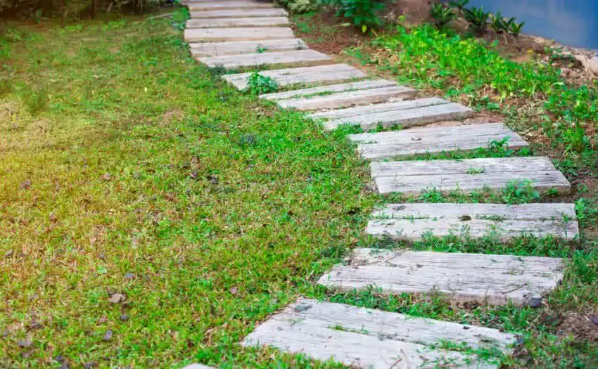 garden walkway path 