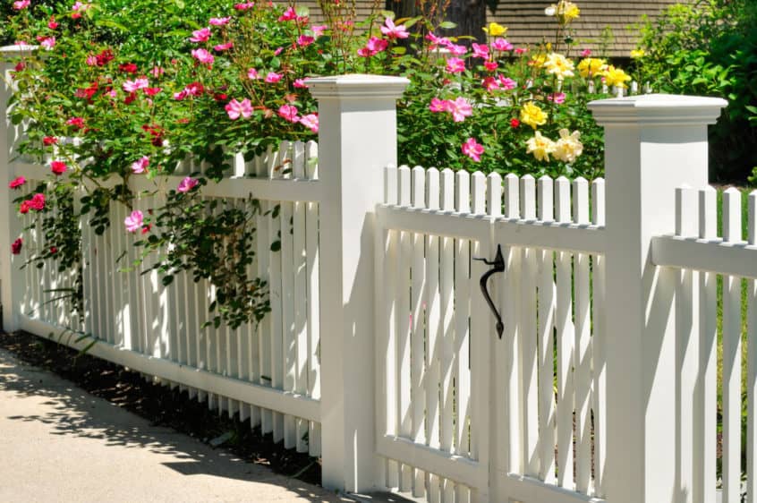 Picket fence design with flower
