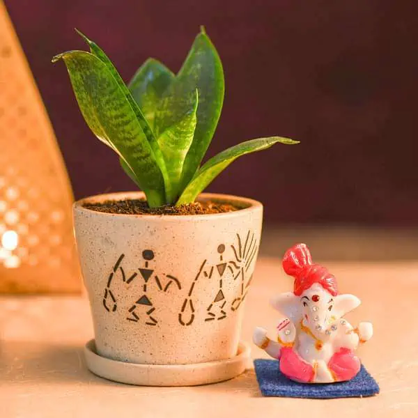 potted plant with Ganesh idol