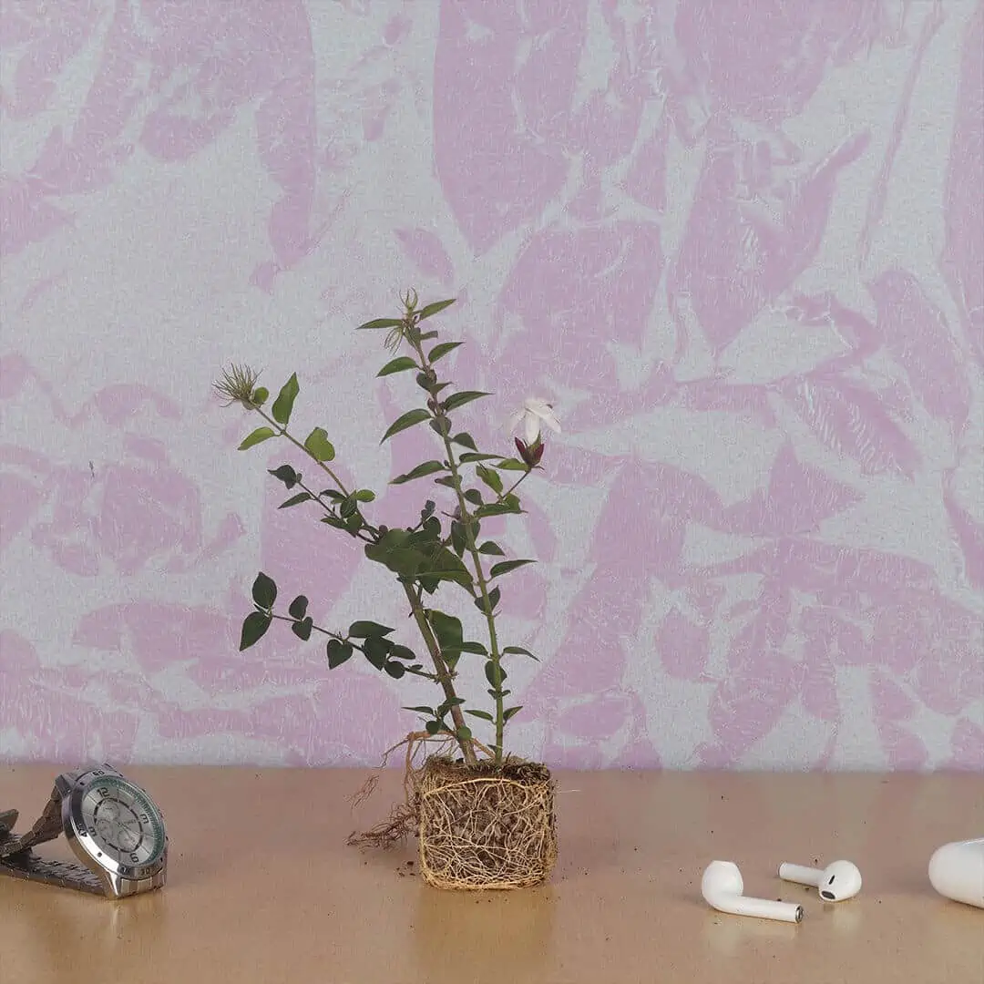 beautiful pink wall pattern with wooden table and accessories.