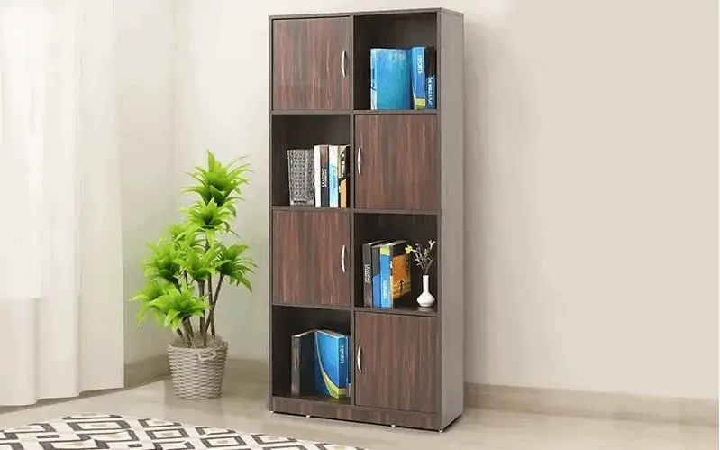 small plant, room setting, dark brown wooden cupboard, books and showpieces