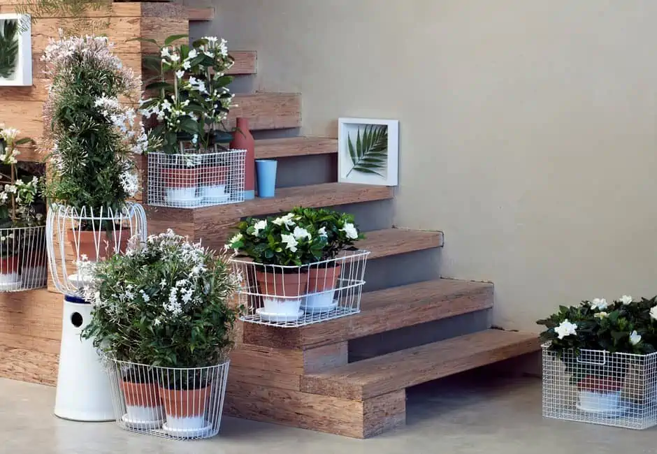 wooden staircase with an array of indoor plants.