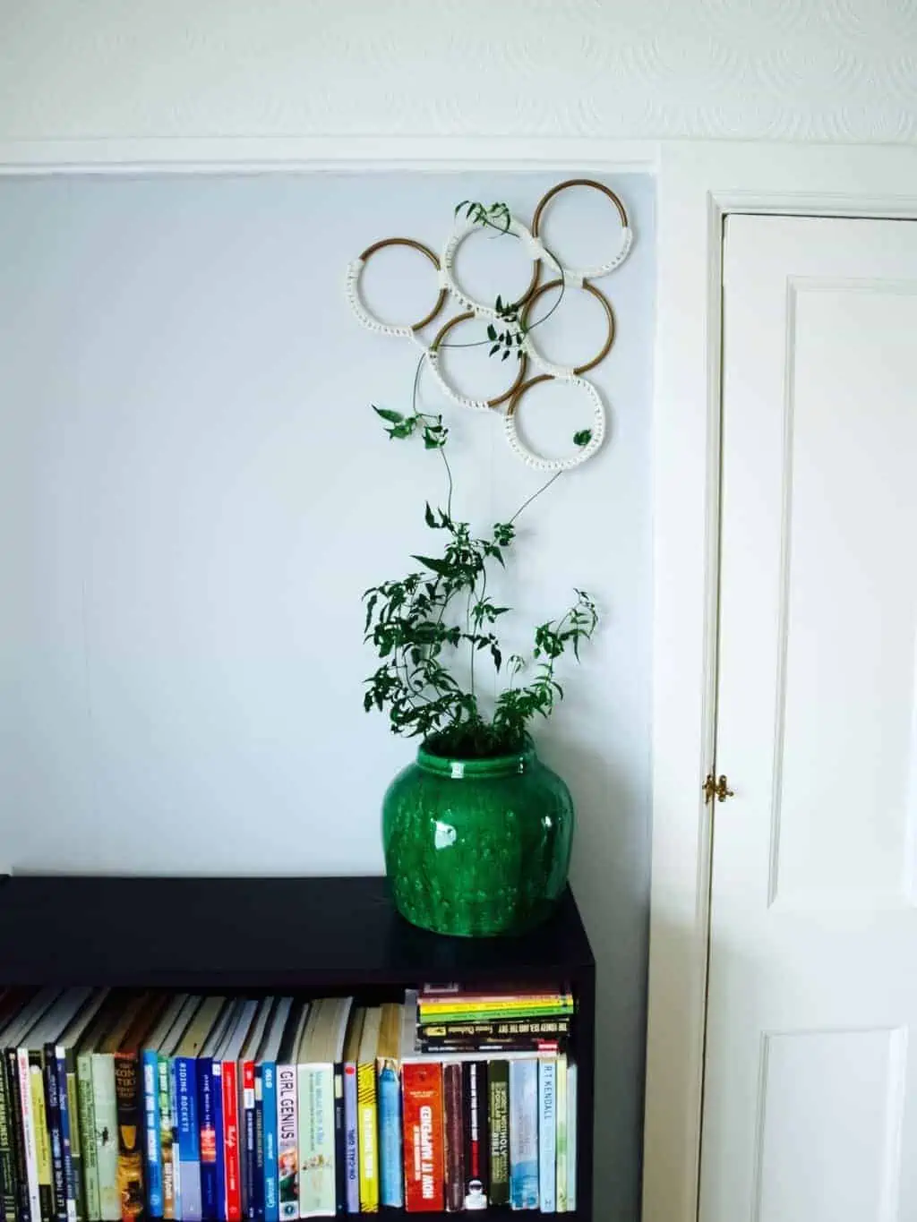 a bookshelf with indoor jasmine plant