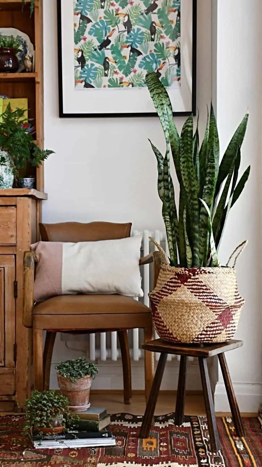 bedroom with wooden furnishing and potted plants