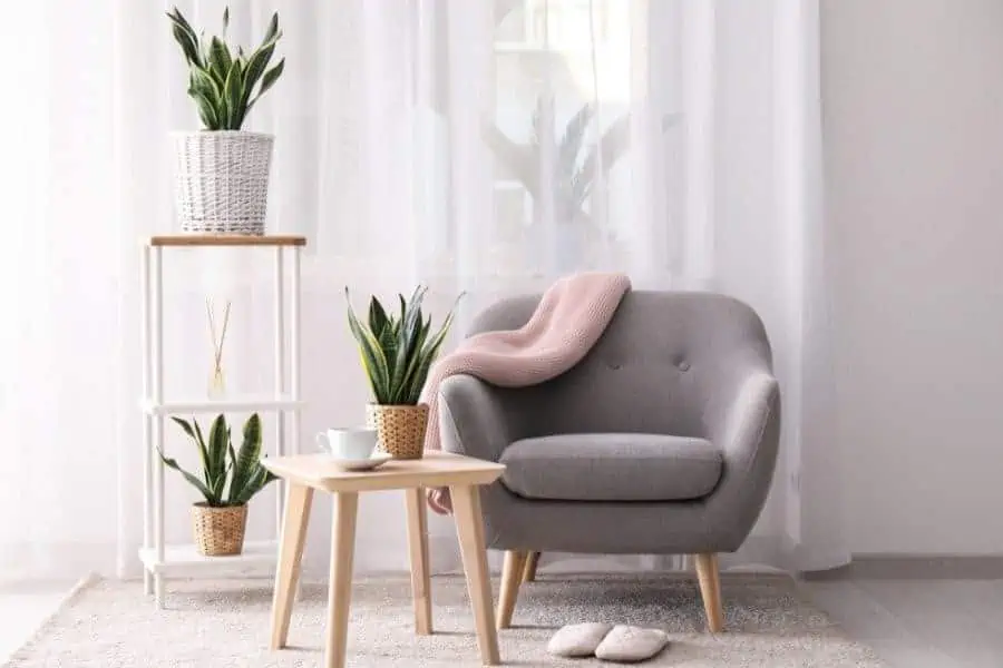 living room with gray sofa and indoor plants