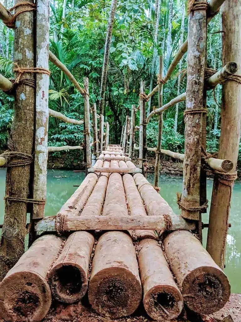 Bamboo bridge, way to the cottage