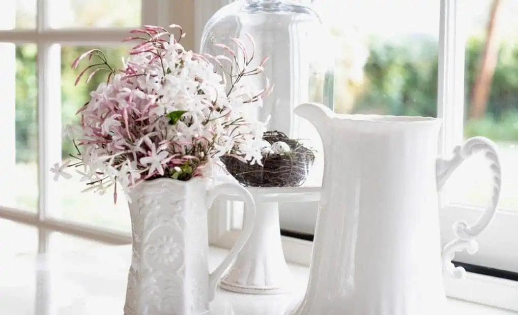indoor jasmine with ceramic pots.