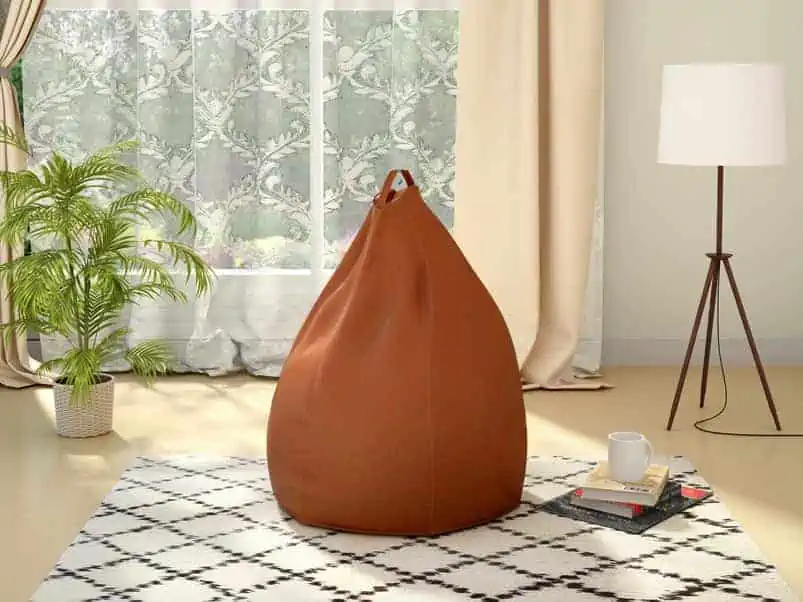 Bean-bag placed on a textured rug in a home setting with a metal lamp and a houseplant