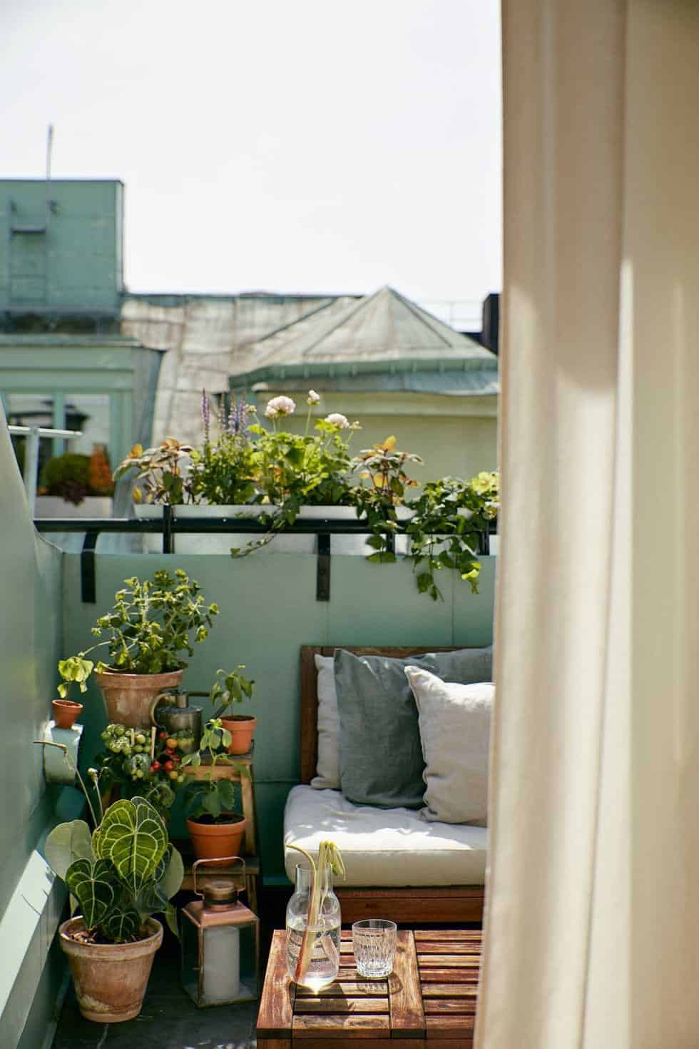 beautiful collection of plants in light blue balcony
