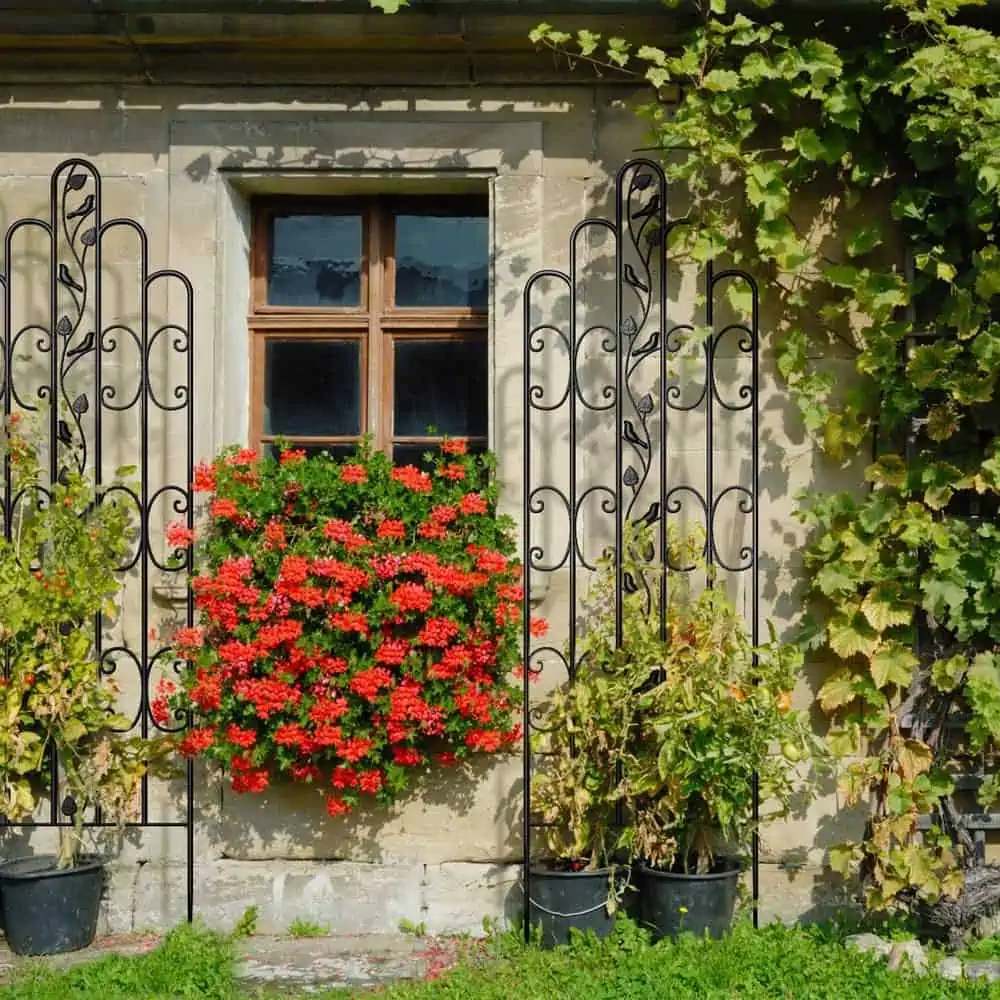 Is a trellis garden worth the hype? (21+ designs decoded) | Building ...