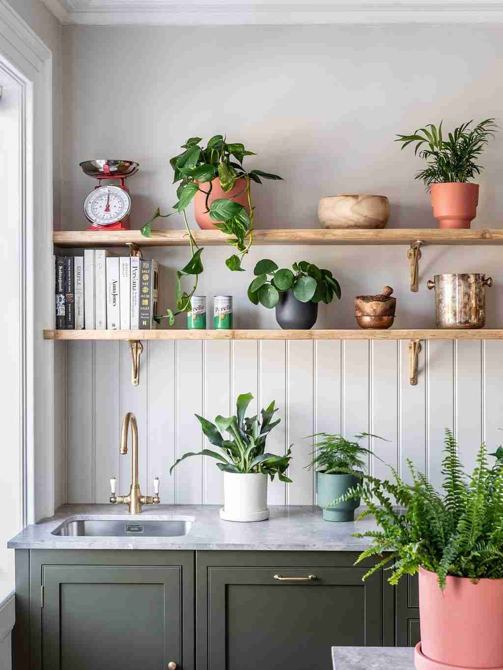 floating shelves with green plants in a kitchen