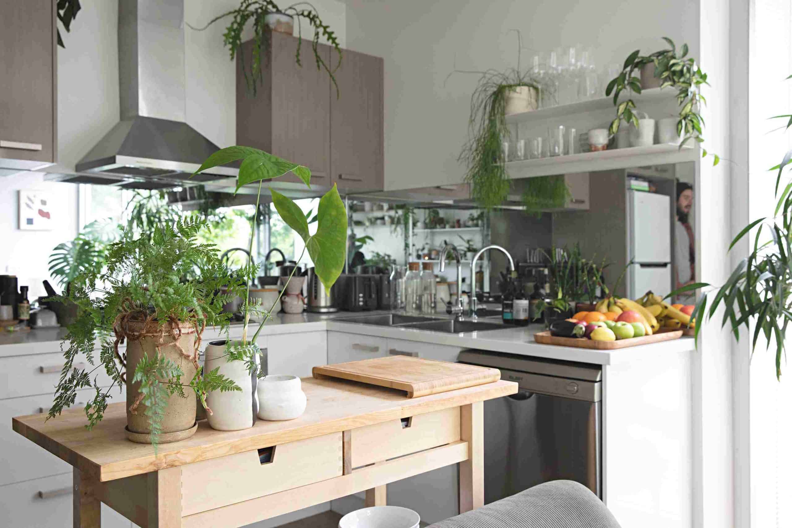 indoor plants with a wooden table in a kitchen