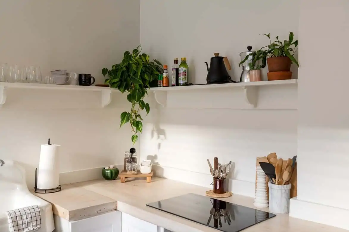 floating shelves with plants and white walls