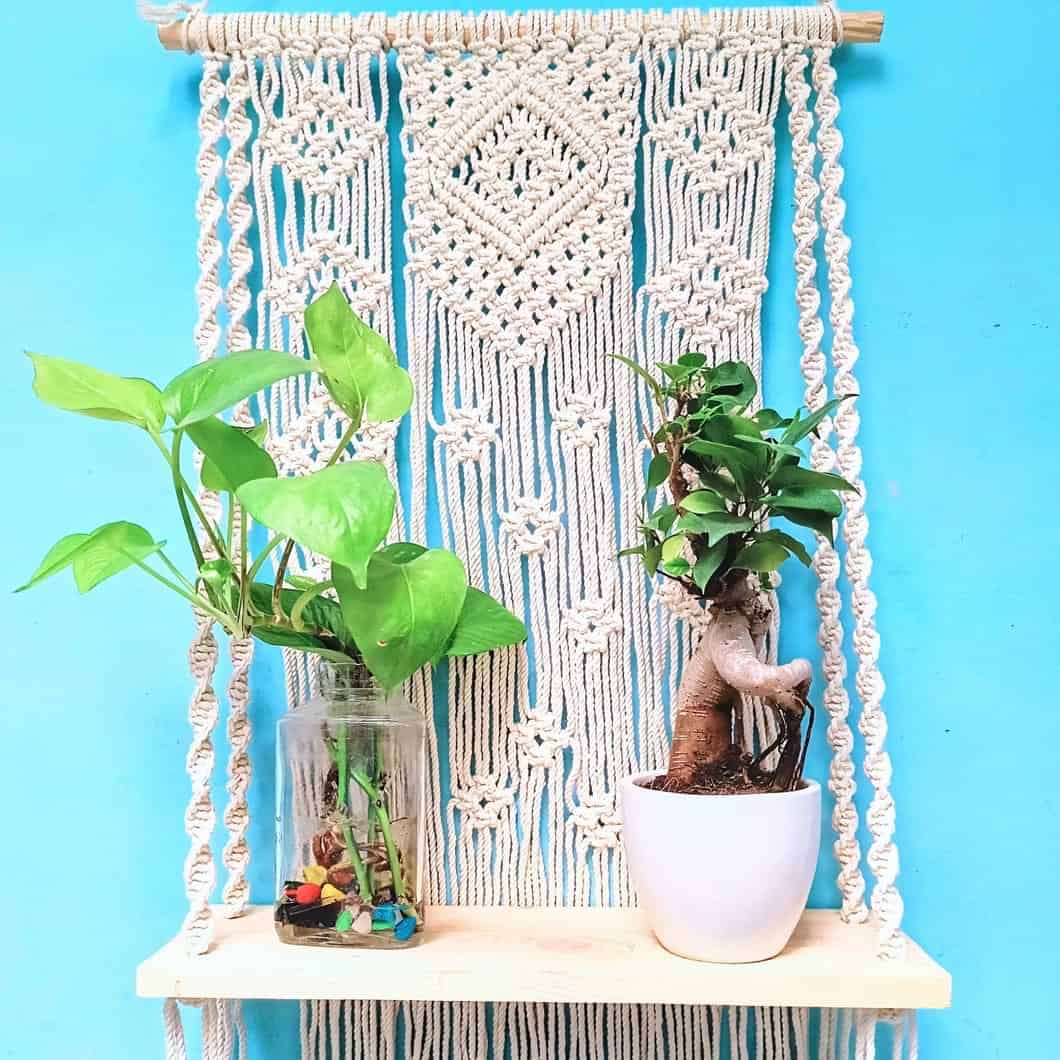 white macrame plant hanger curtain sleeve for home decor