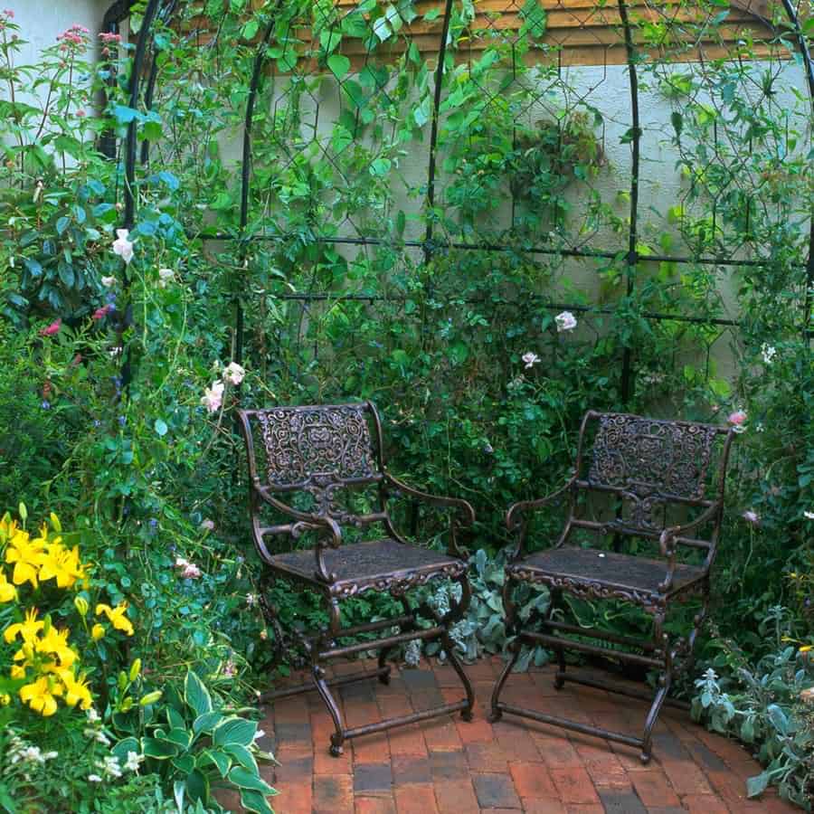 beautiful green backyard sitting area