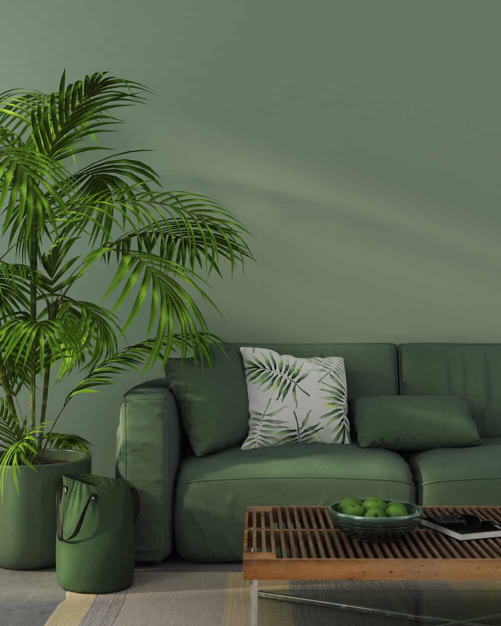 Sage green living room with couch and a big plant with cane wood coffee table