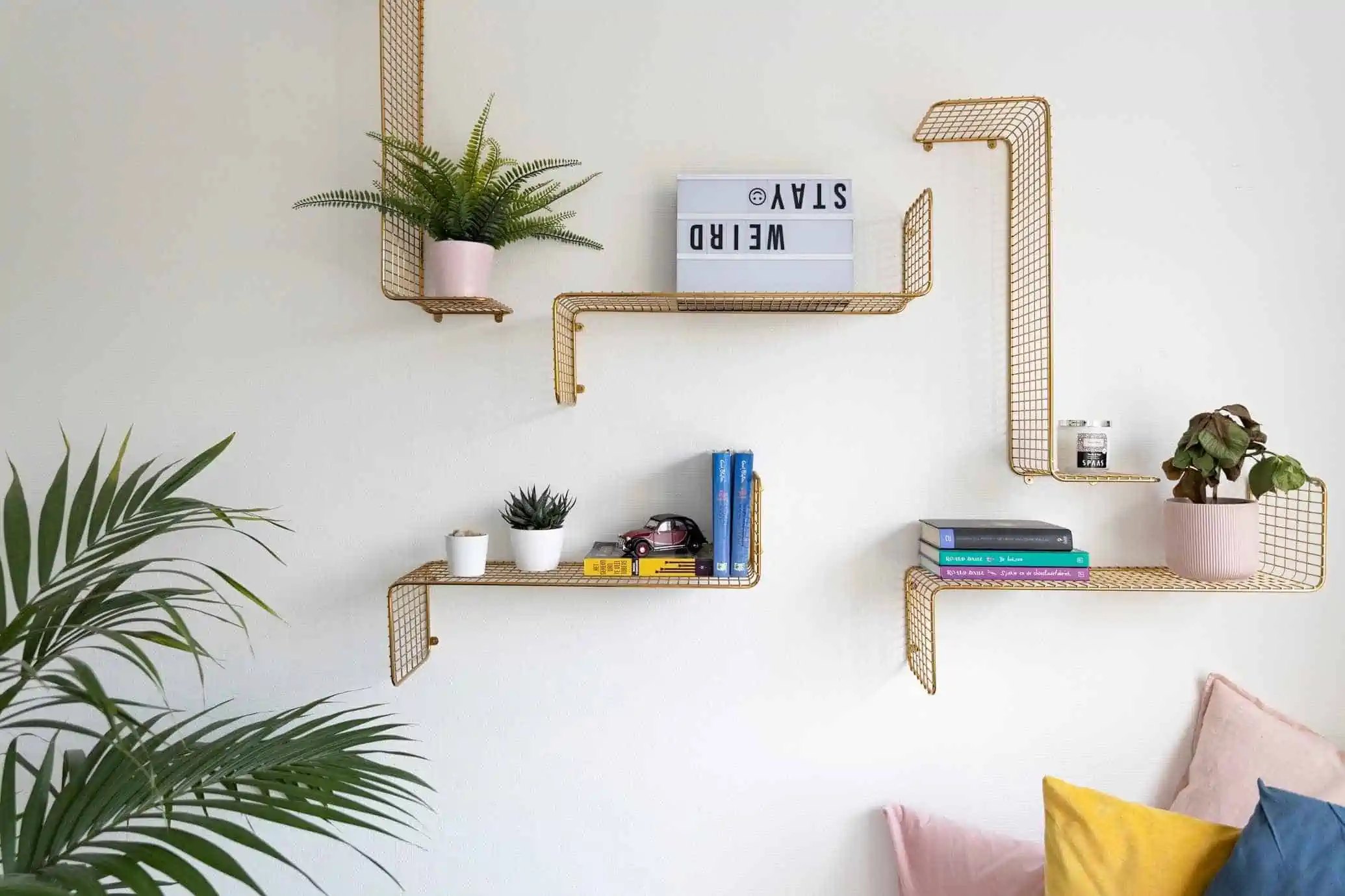 floating shelves with indoor plants