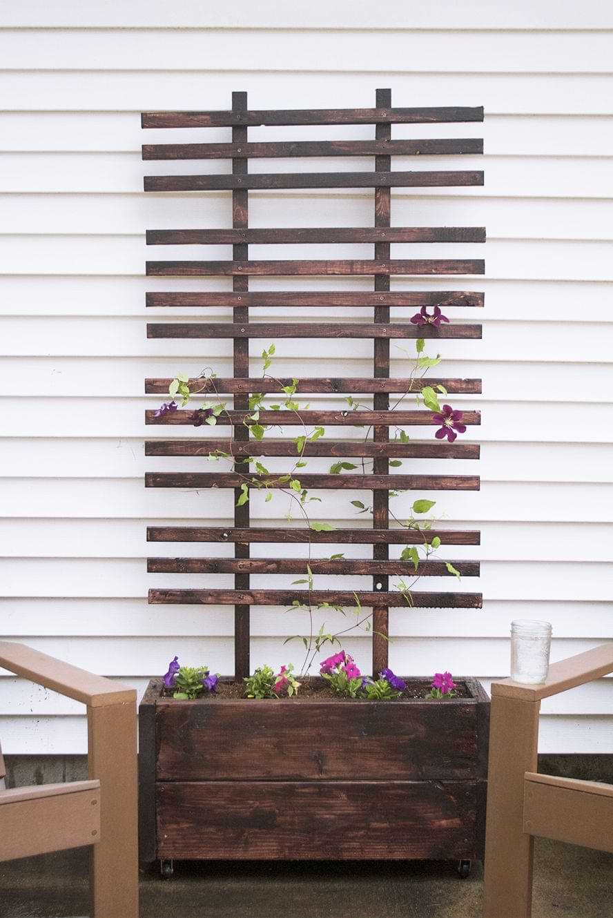 Unique trellis with caged planters for tomatoes and brown wooden fence top