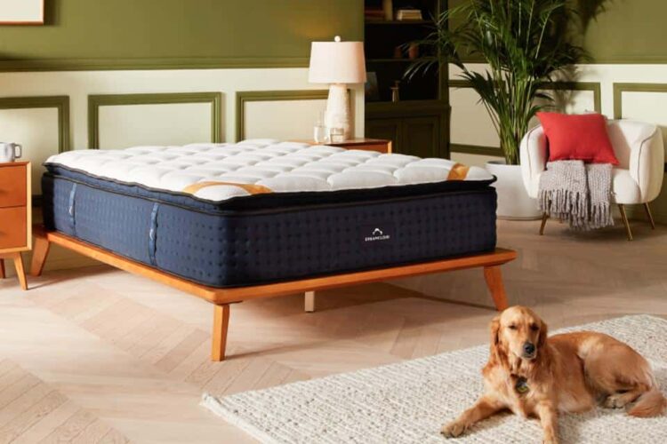 10 Best Mattress Brands In India | Top Mattress Companies In India ...