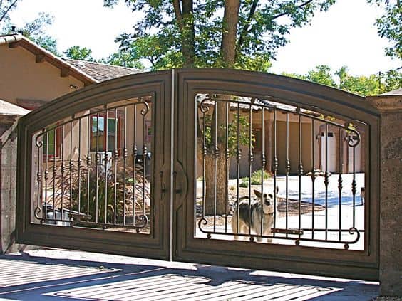main gate design, dog standing inside, trees, bungalow