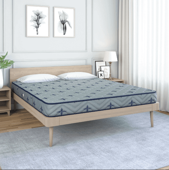 wooden sleek bed, white pillows, side lamp, plant, windows