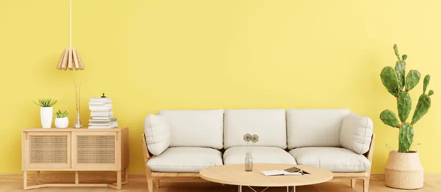 yellow walls from top paint brands in India, sofa set, cactus plant, centre table, living room