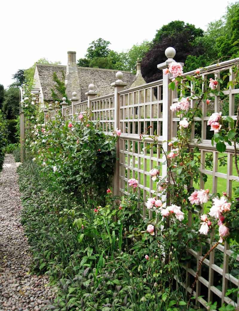 Elegant white fence garden trellis top panel with roses