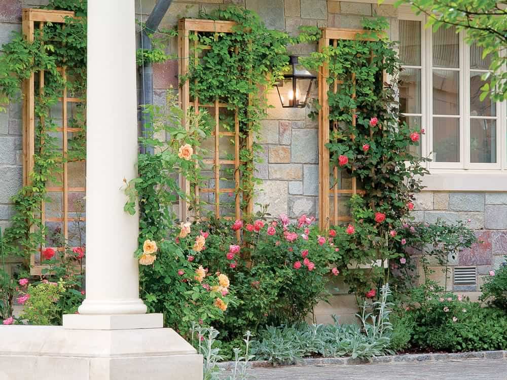 Is a trellis garden worth the hype? (21+ designs decoded)